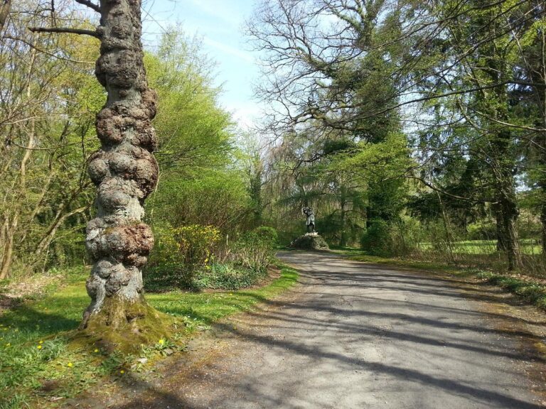 Domaine de Hottemme
